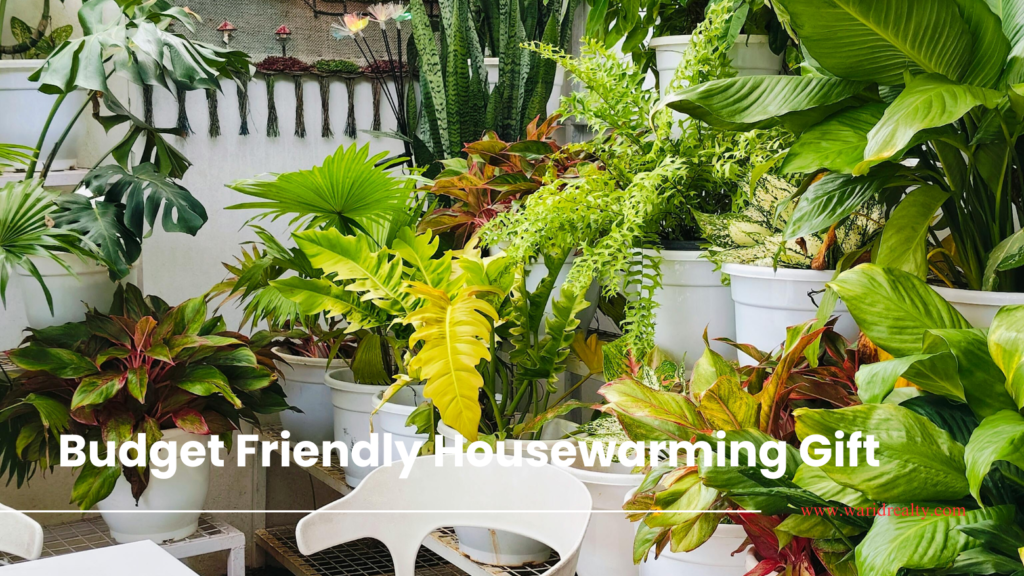 Budget Friendly Housewarming Gift